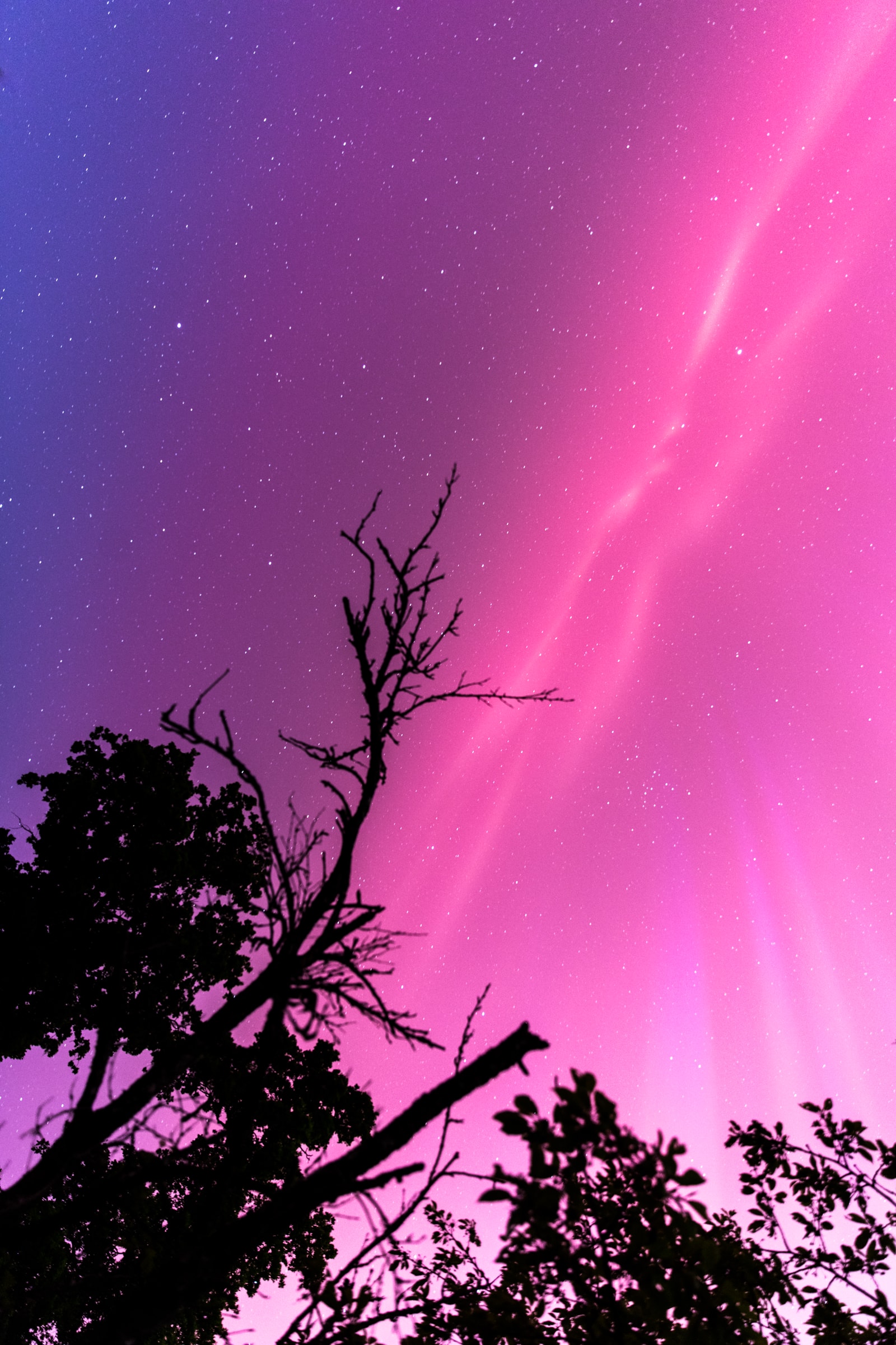 astrophotographie aurores boréales Bretagne