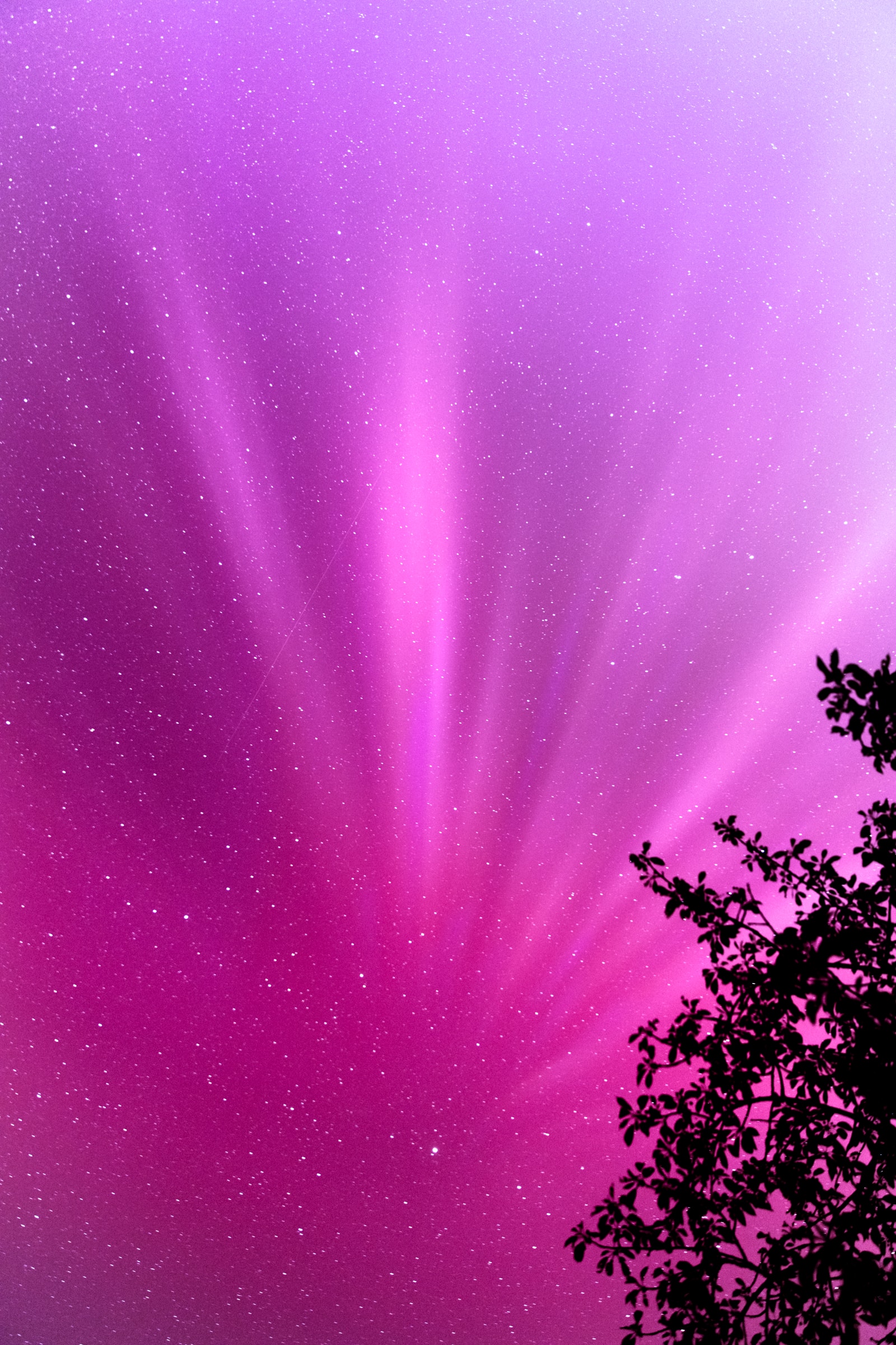 astrophotographie aurores boréales Bretagne