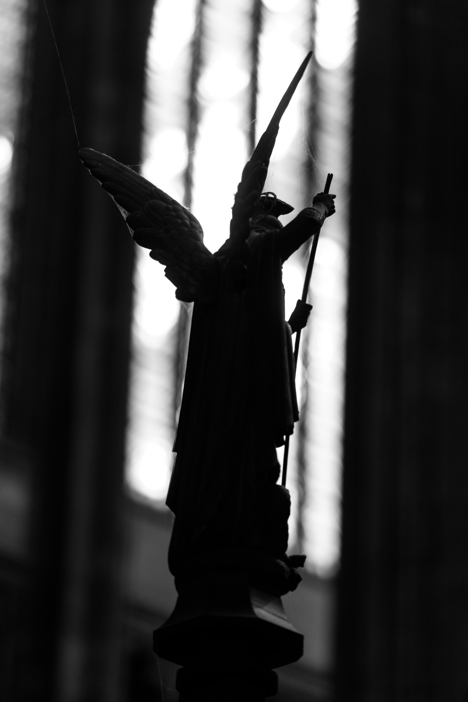 photographie cathédrale Sainte-Croix d'Orléans