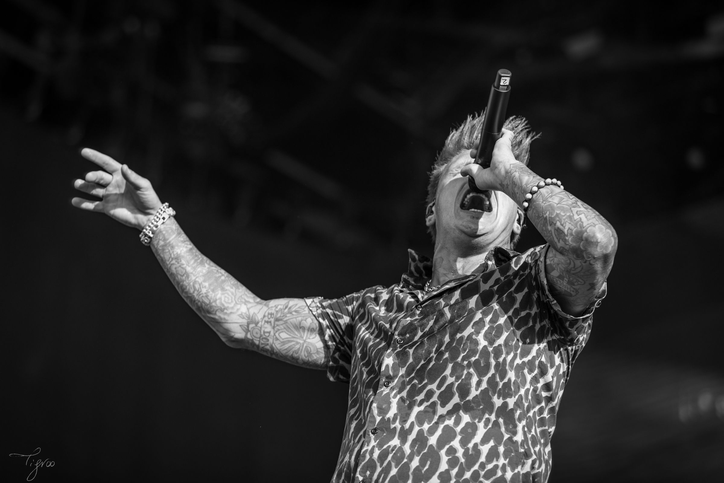 Knotfest meets Hellfest Papa Roach